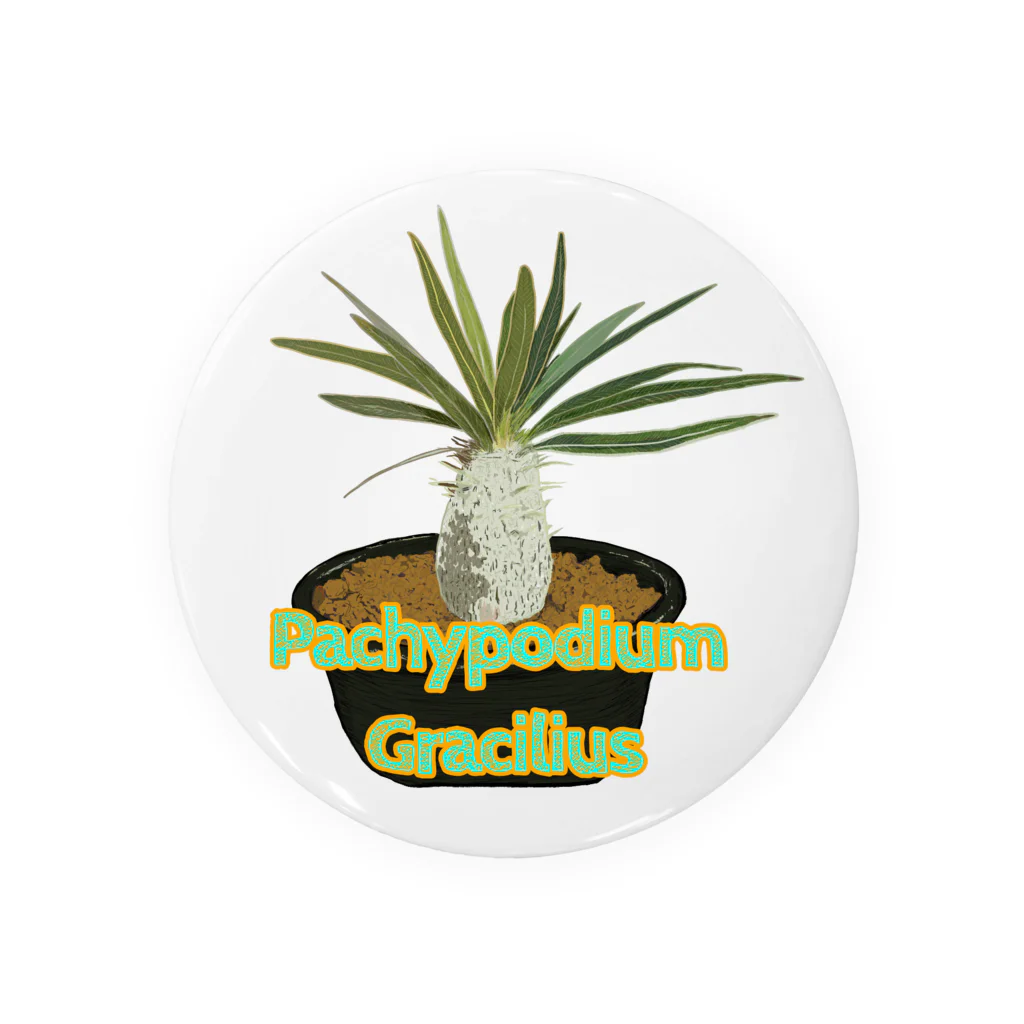 momoのPachypodium Gracilius Tin Badge