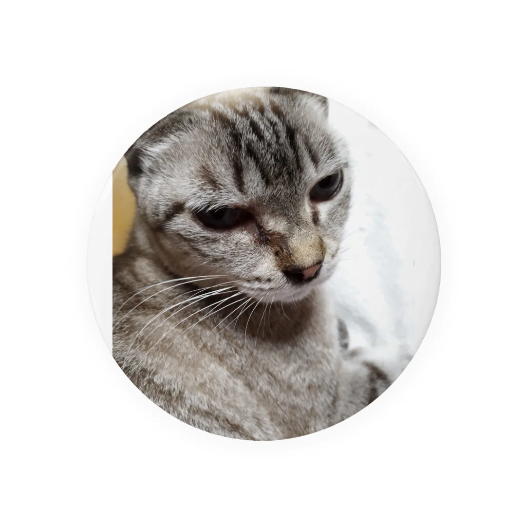 ねこの森でお散歩のさあ、モフりなさいよ。 Tin Badge