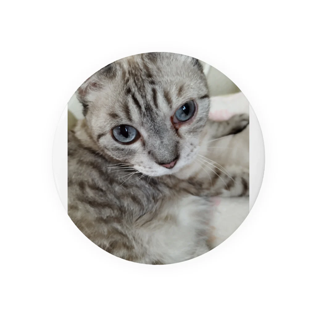 ねこの森でお散歩のフッワフワのシャムミックス Tin Badge