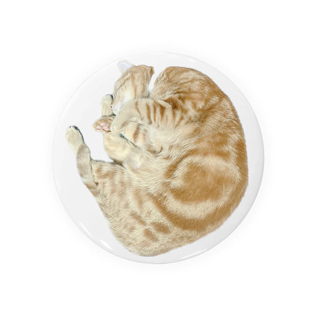 茶太郎🐱とモンブランの茶太郎のニャンモナイトシリーズ Tin Badge