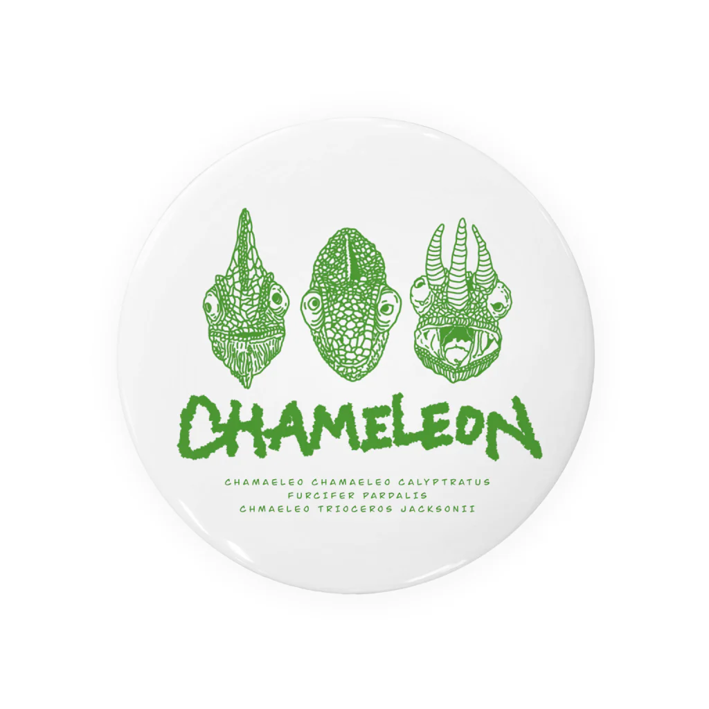 LEOLEOのthe chameleon 缶バッジ