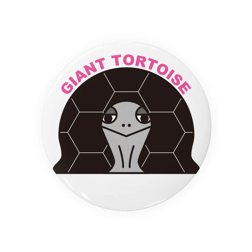 STAR TORTOISEのゾウガメ　カラー Tin Badge