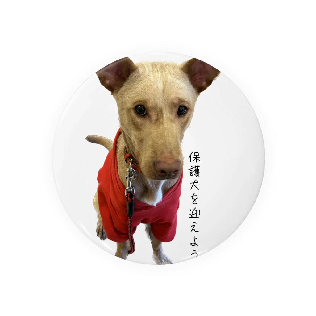 鹿児島県動物愛護団体くるくるいちごの部屋のさぶグッズ Tin Badge