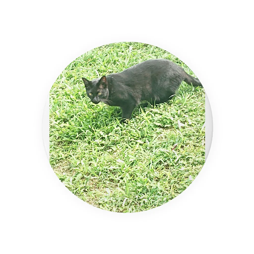 天光のねこ部屋の黒猫カカオの庭 Tin Badge