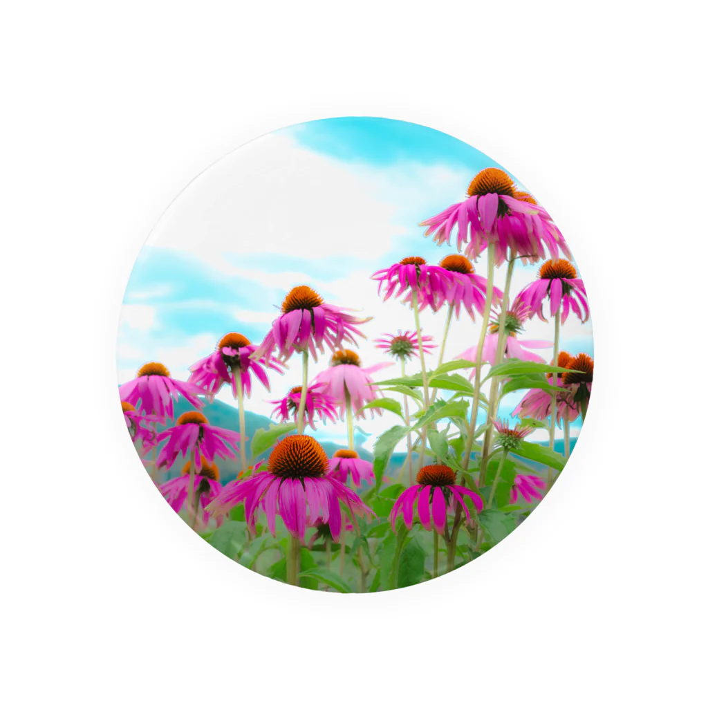 bouquetie_322のEchinacea 缶バッジ