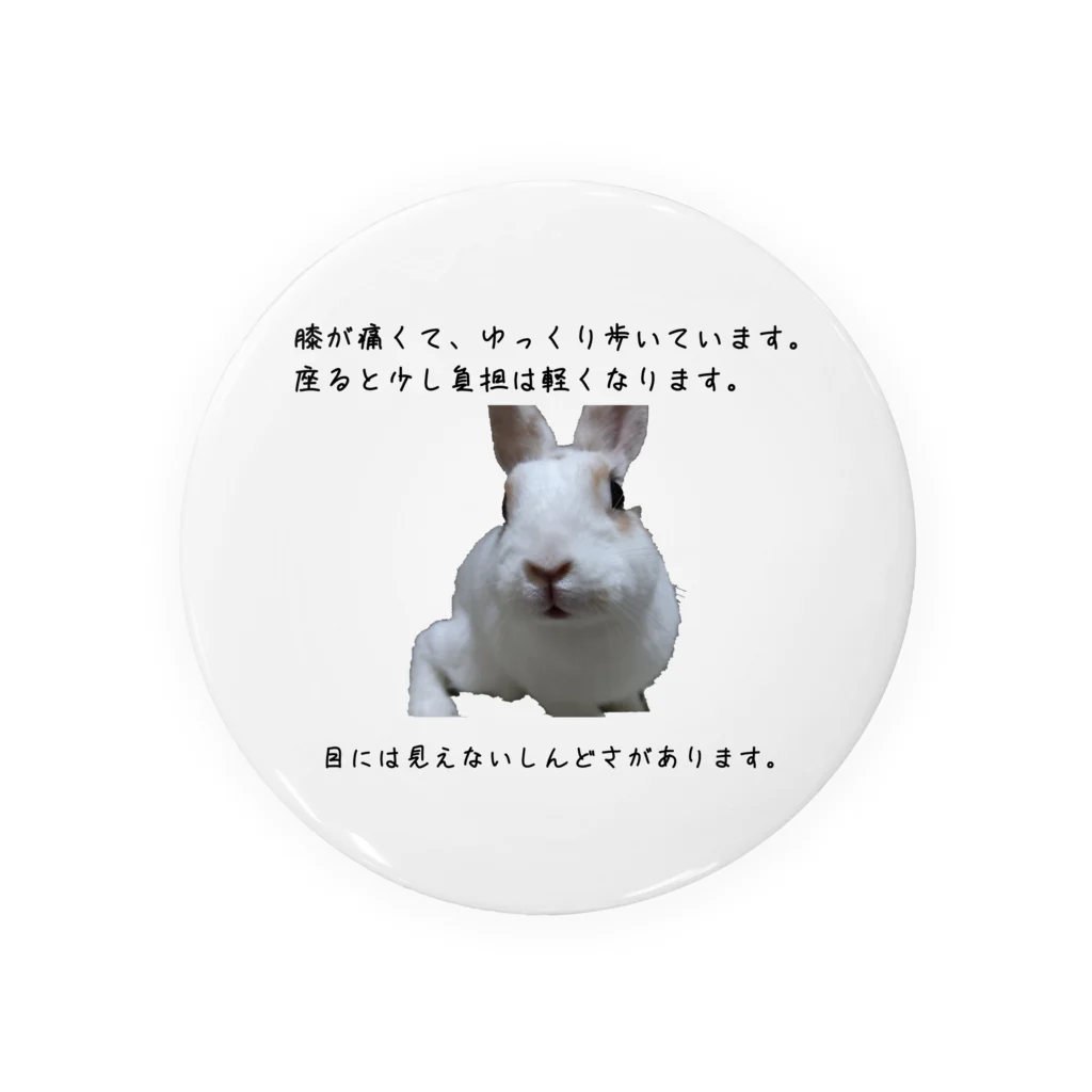 えり🐰らてましゅ🐰絵本出版中の膝痛いラテちゃん Tin Badge