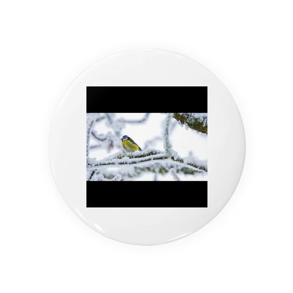 Zeceの冬の鳥 Tin Badge