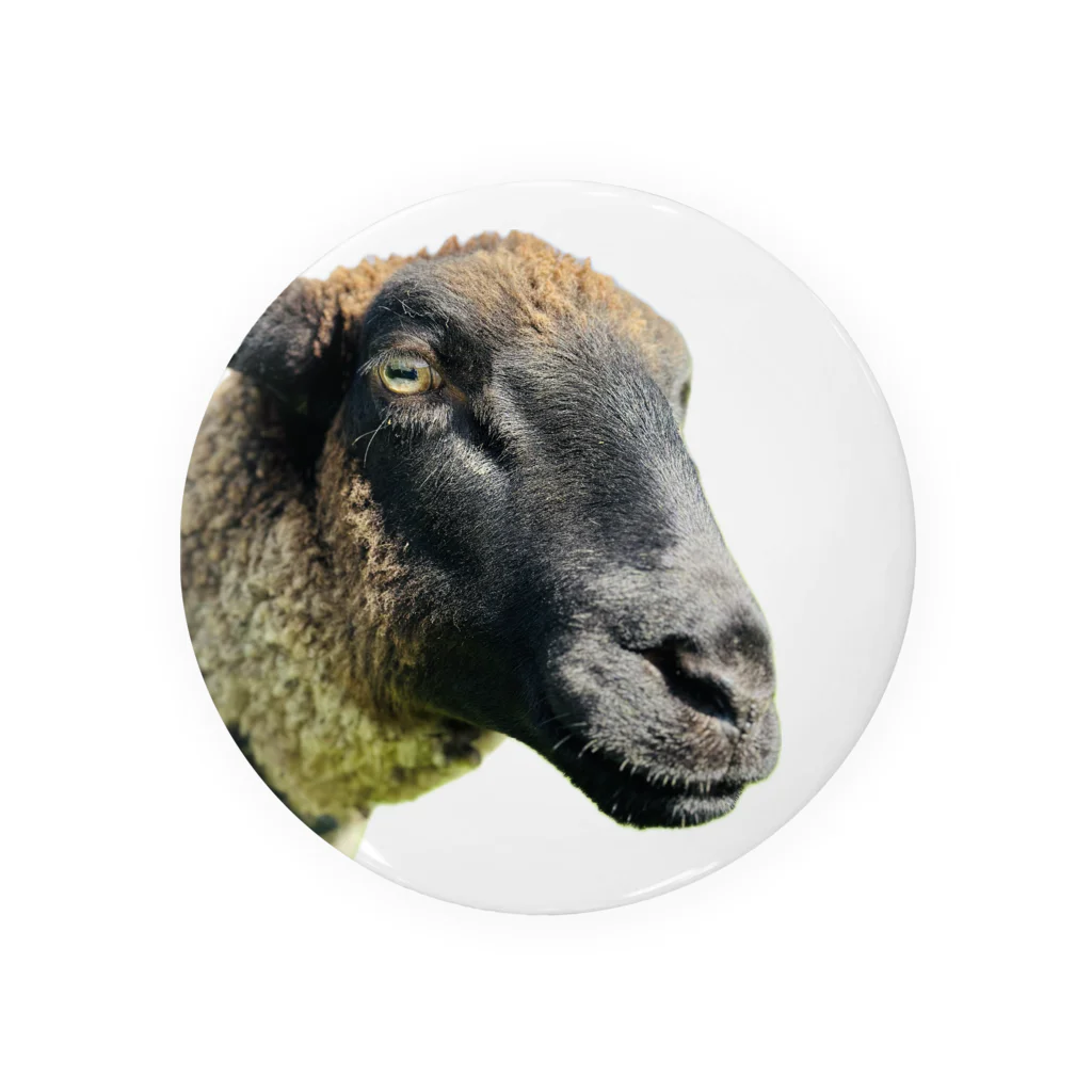 Rnoleleso_Photoの羊くん Tin Badge
