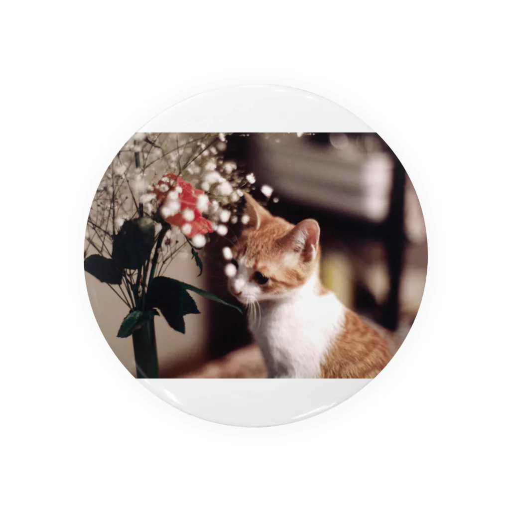 LISPの哀愁の猫ちゃん Tin Badge