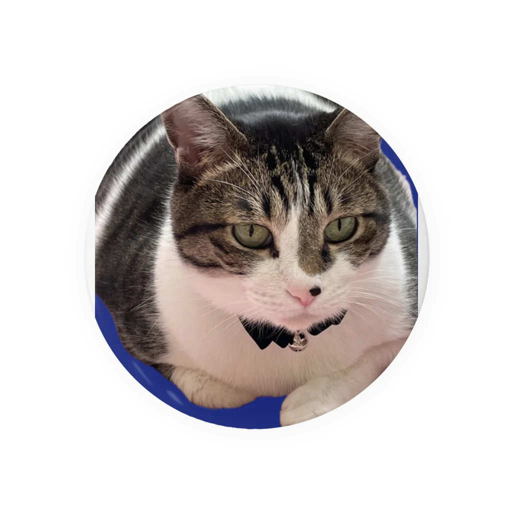 Quucocoのもふねこくうた君 Tin Badge