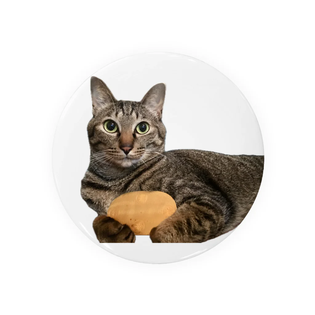 オレはニャン蔵の『猫に小判』オレはニャン蔵 Tin Badge