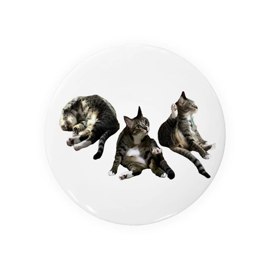 sisyの家ねこ悩殺3ポーズ Tin Badge