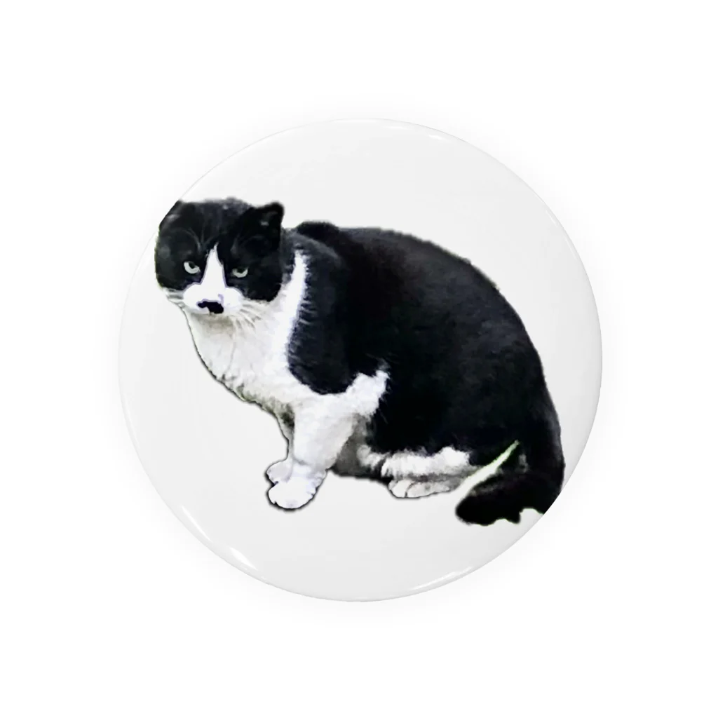 たまたまの近所の野良猫 Tin Badge