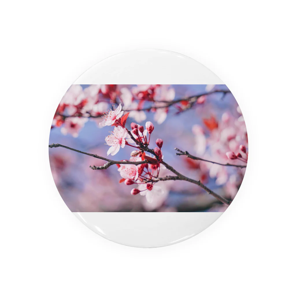 𝔗𝔞𝔦𝔰𝔢𝔦 𝔜𝔞𝔪𝔞𝔡𝔞のSakura en France. 缶バッジ