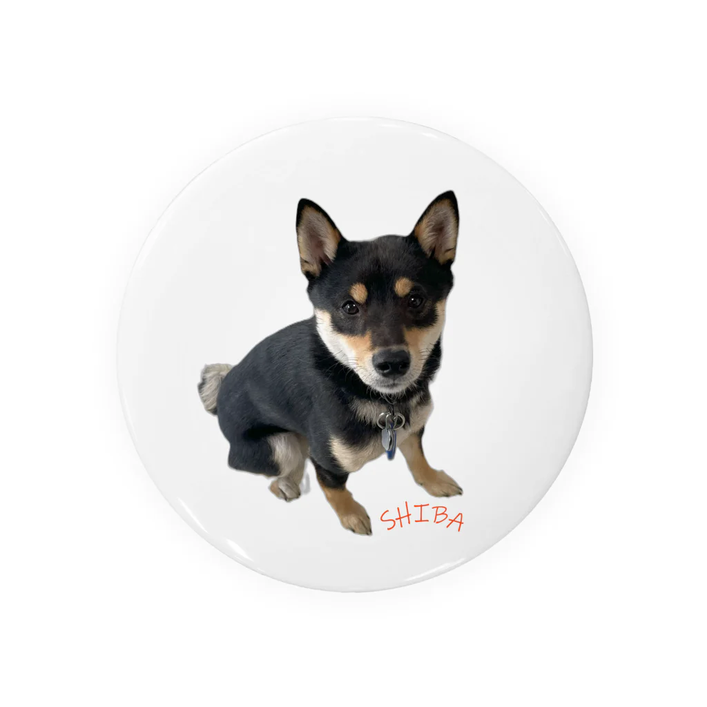 うたた寝の🐾豆柴BOY🐾 世界中で愛される柴犬　1歳 Tin Badge