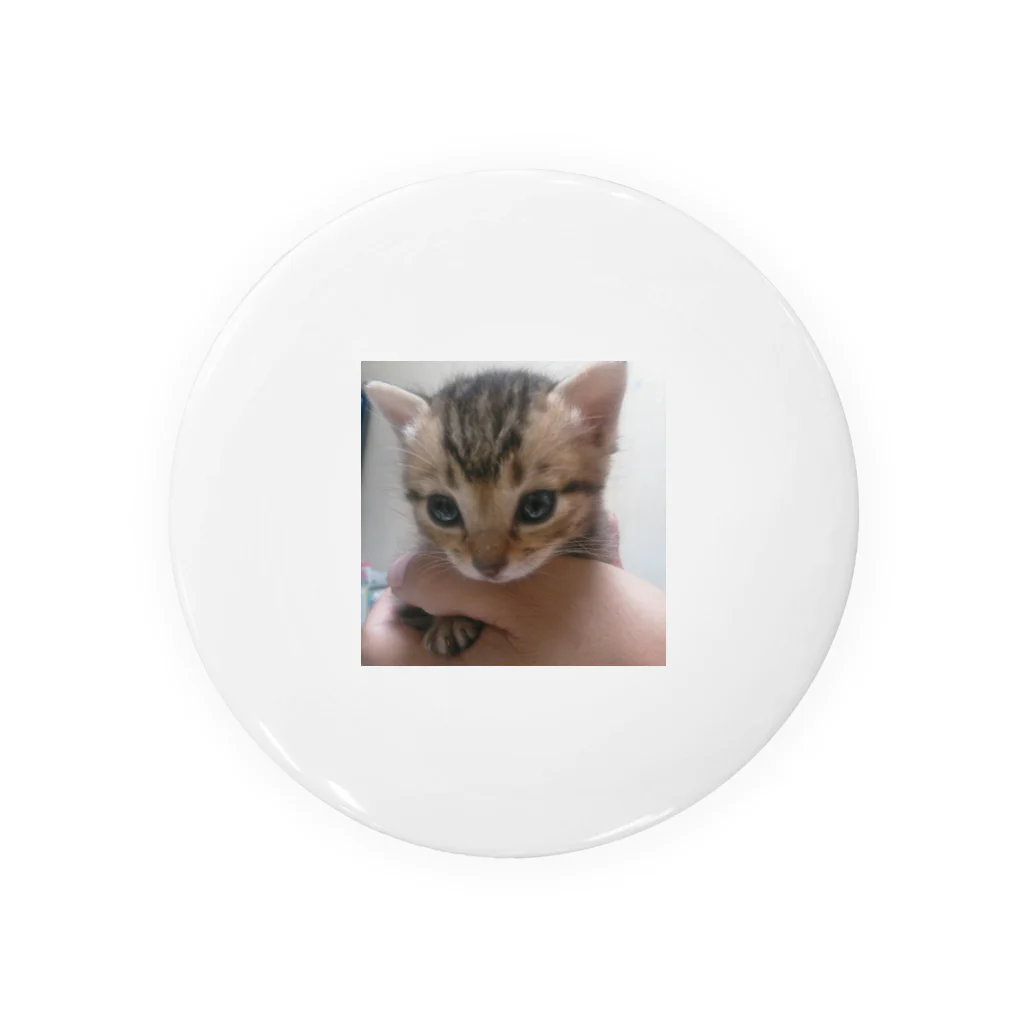 suirennohana2の子猫 Tin Badge