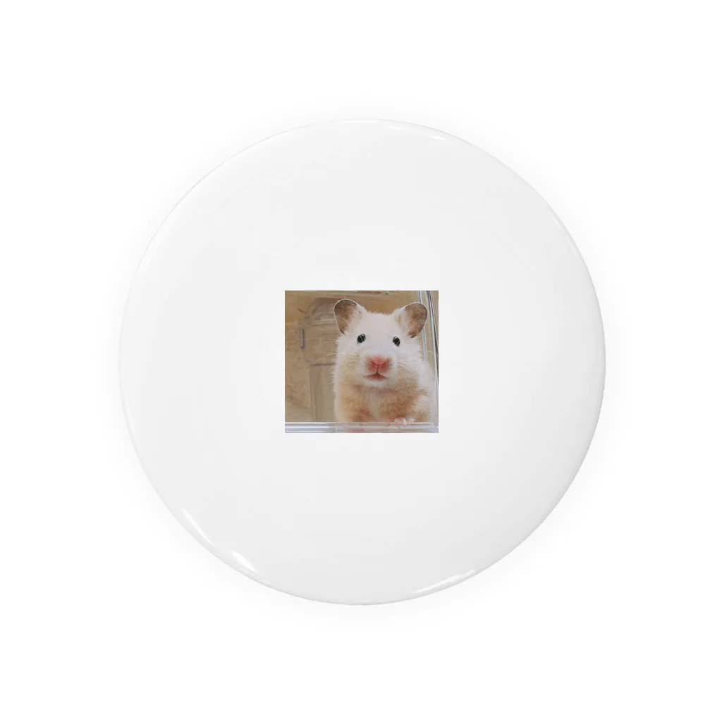 gionのhamster Tin Badge