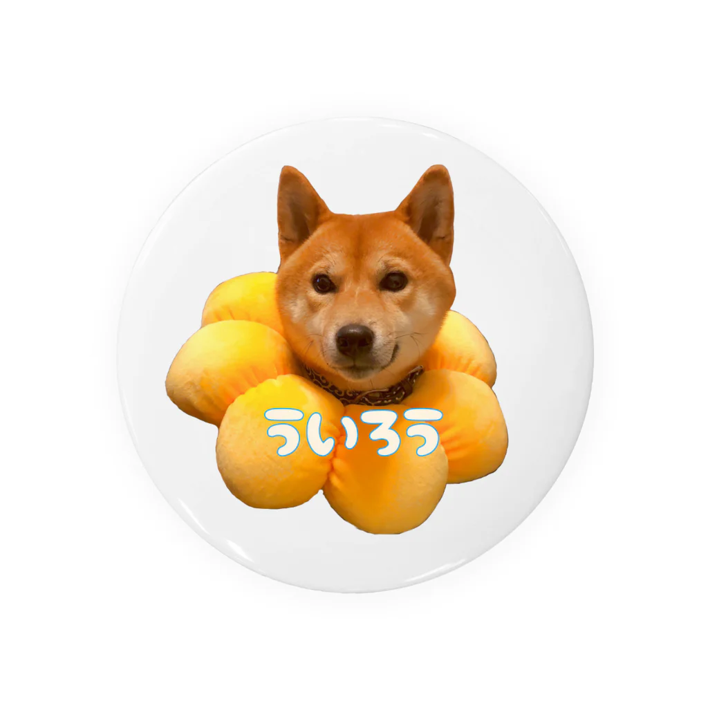 xxxxの柴犬のういろう Tin Badge