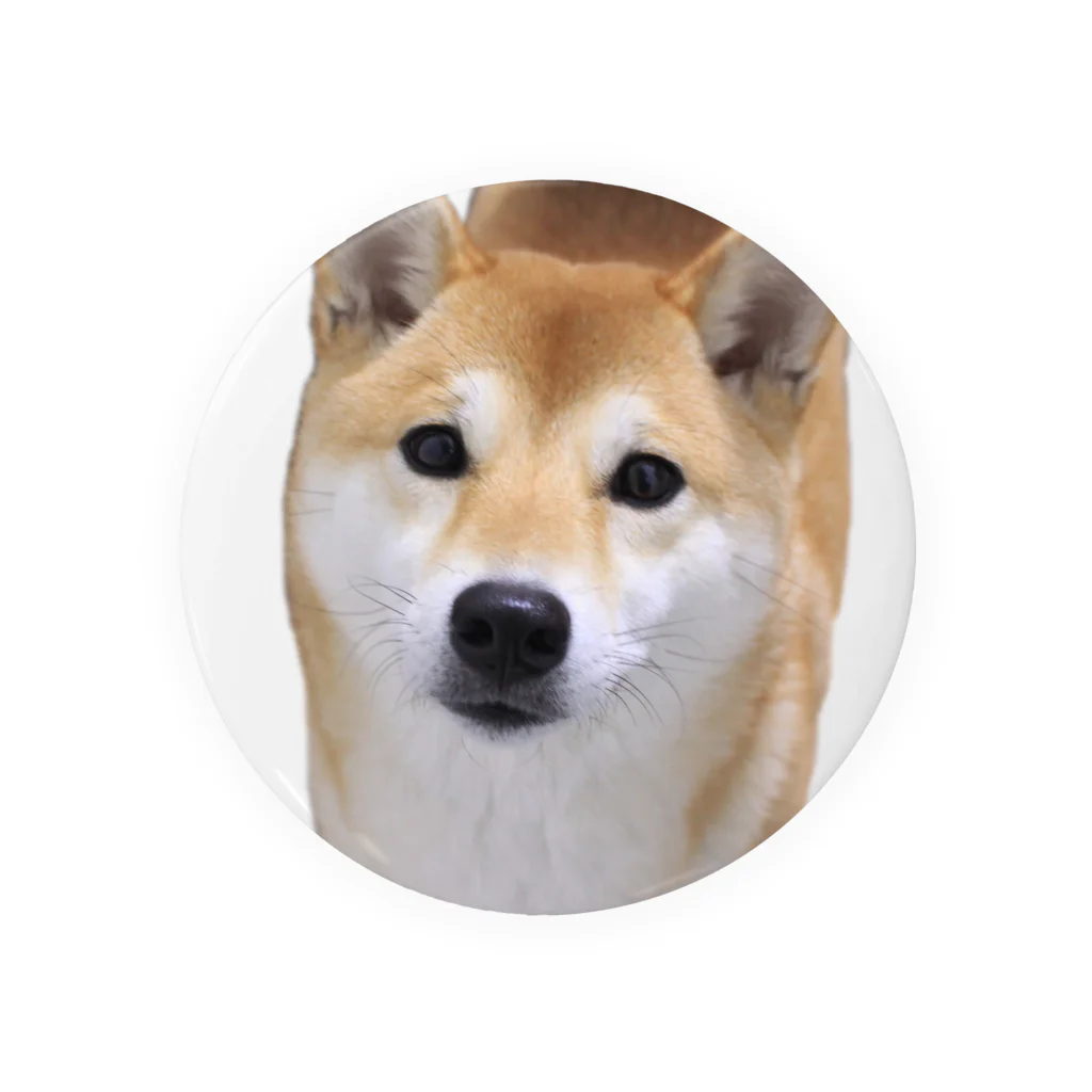 kawaii柴犬のkawaii柴犬 Tin Badge