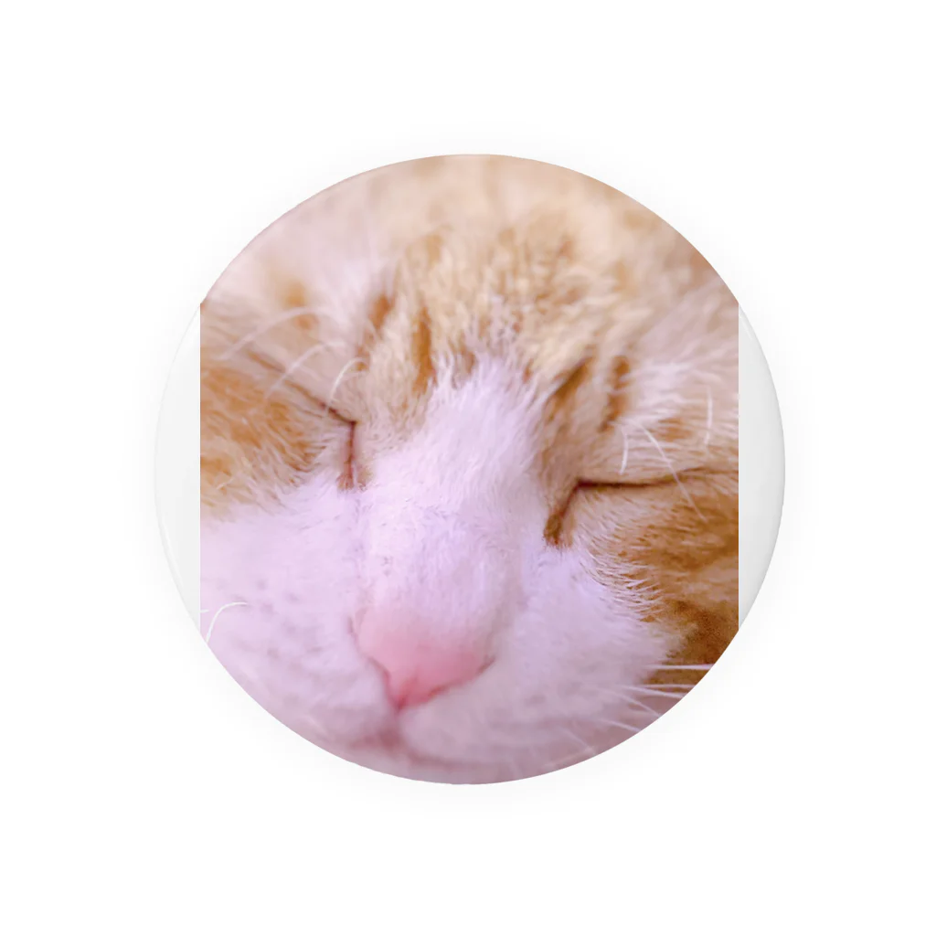 昭和～平成～令和系のりさぴん@の保護猫 セサミくん Tin Badge