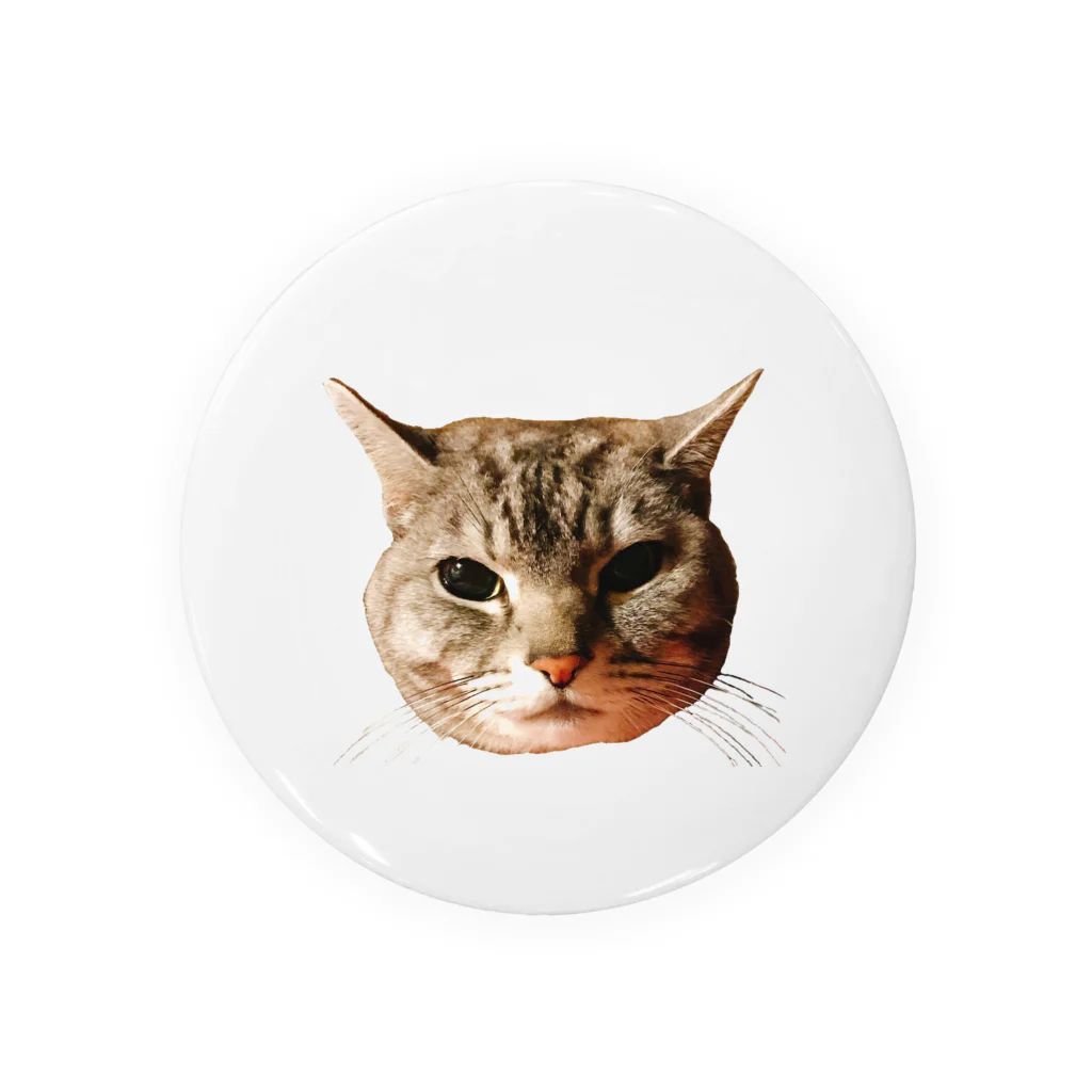 げんきもりもりのぽろにゃん猫のシュラ Tin Badge