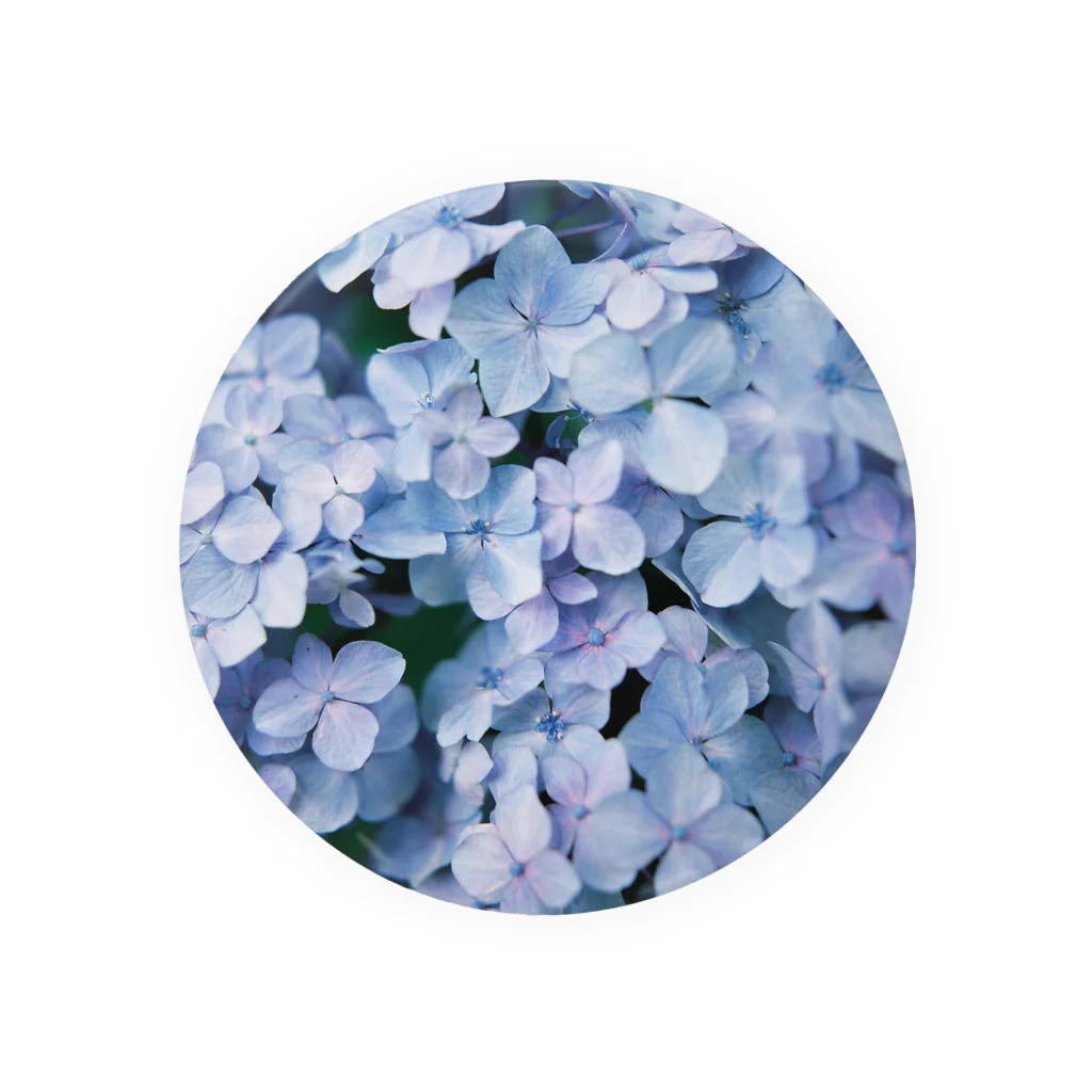 なゆの紫陽花 Tin Badge