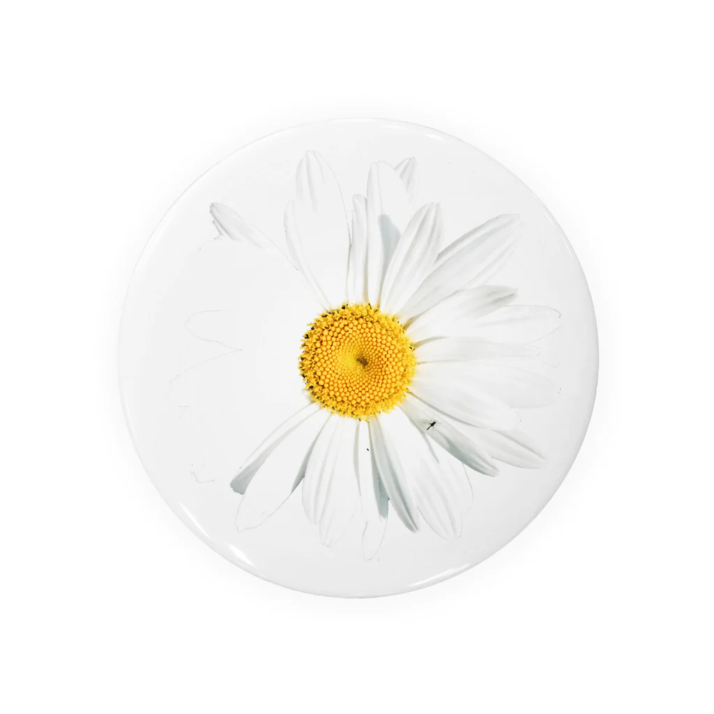 lenhung2108のdaisy flower 缶バッジ