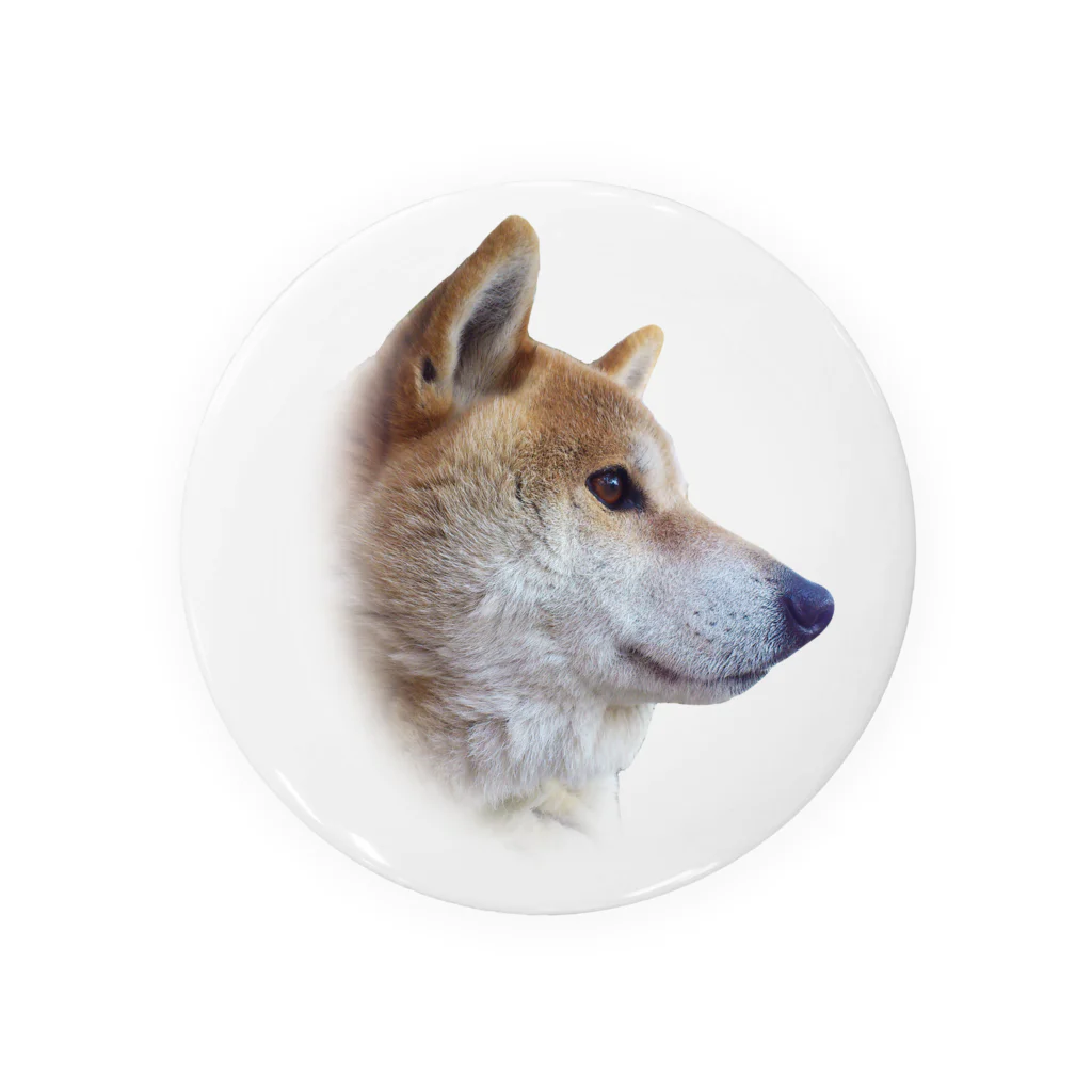 愛犬太郎のグッズの太郎の横顔【柴犬】 Tin Badge