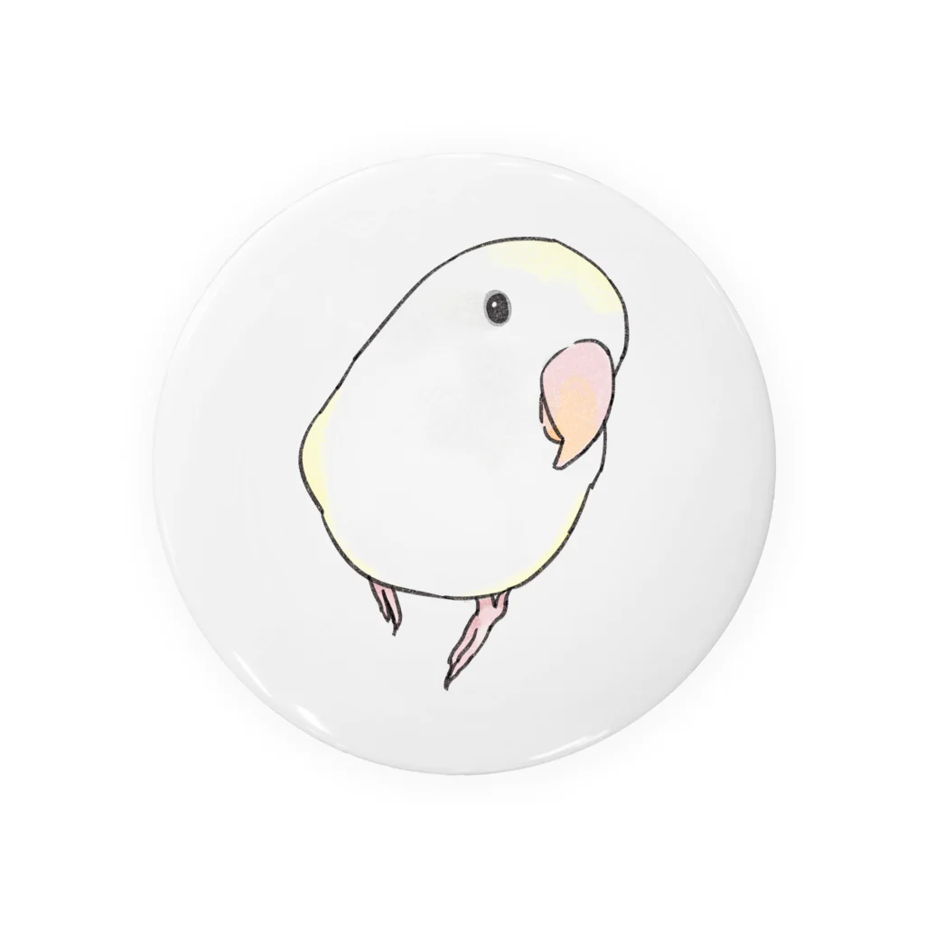 まめるりはことりのコザクラインコ　バイオレットパイドちゃん【まめるりはことり】 缶バッジ