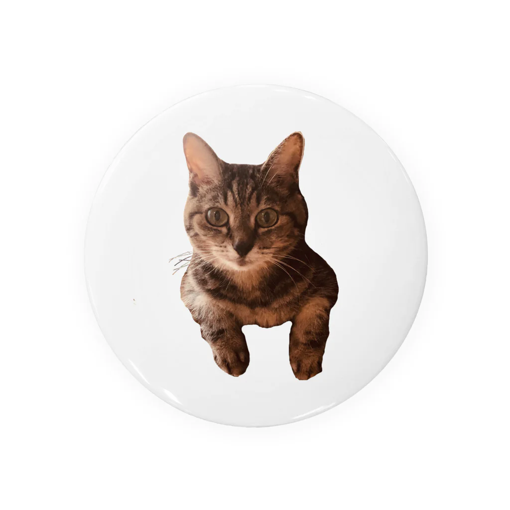 𝙎𝙩𝙮𝙡𝙞𝙨𝙝𝙗𝙤𝙤𝙗のかわいいねこ Tin Badge