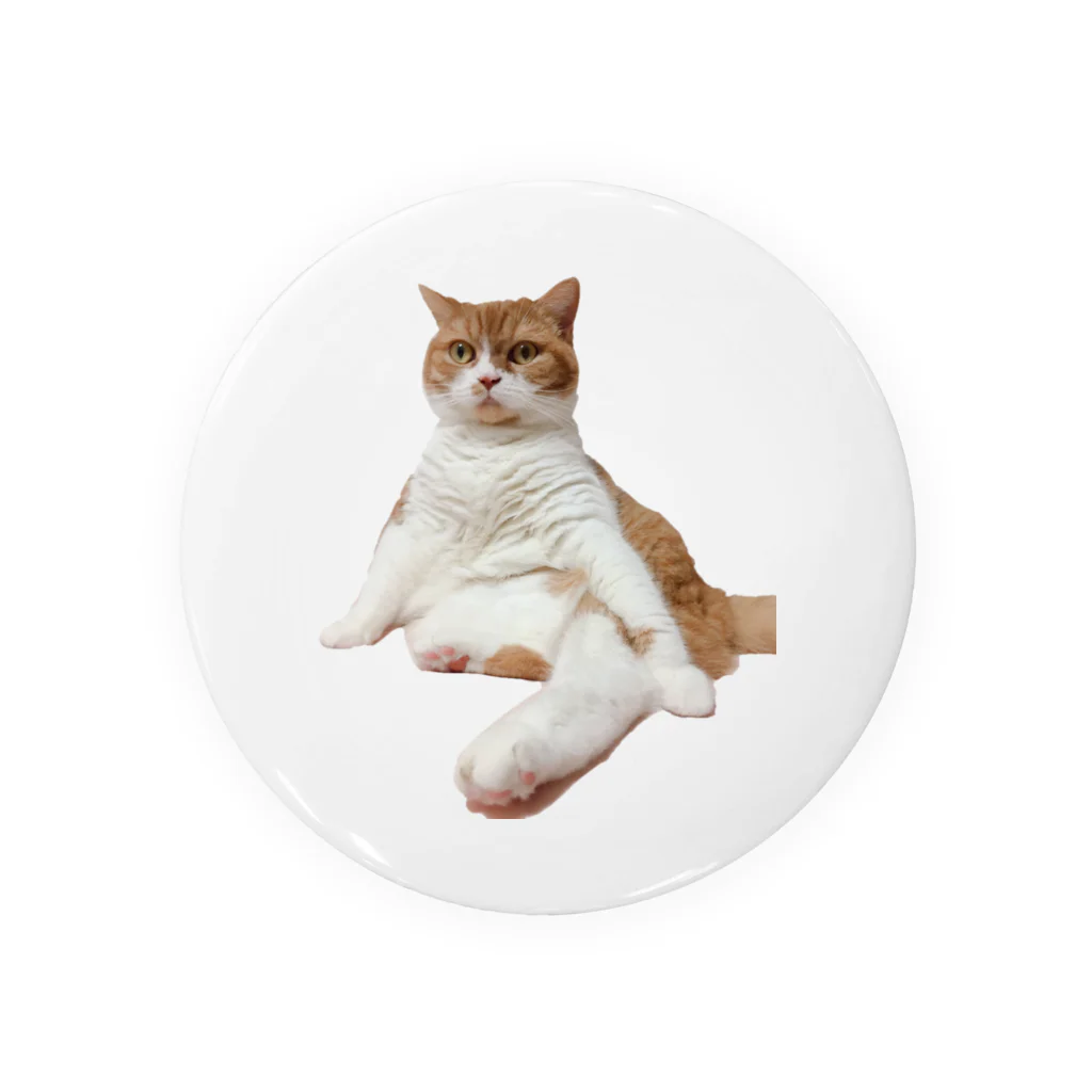 うちのねこ屋のセクシーまちるだ Tin Badge