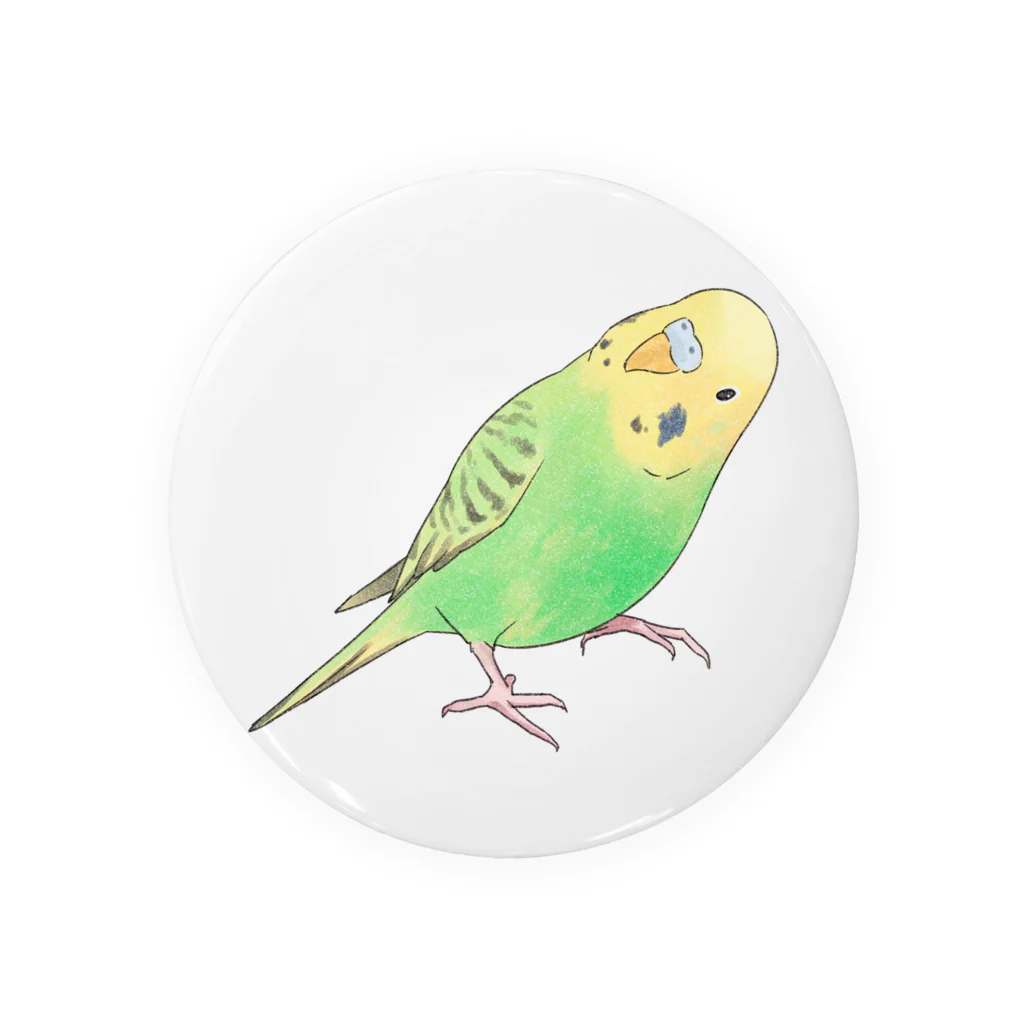 まめるりはことりの首傾げセキセイインコ　ピーちゃん【まめるりはことり】 Tin Badge