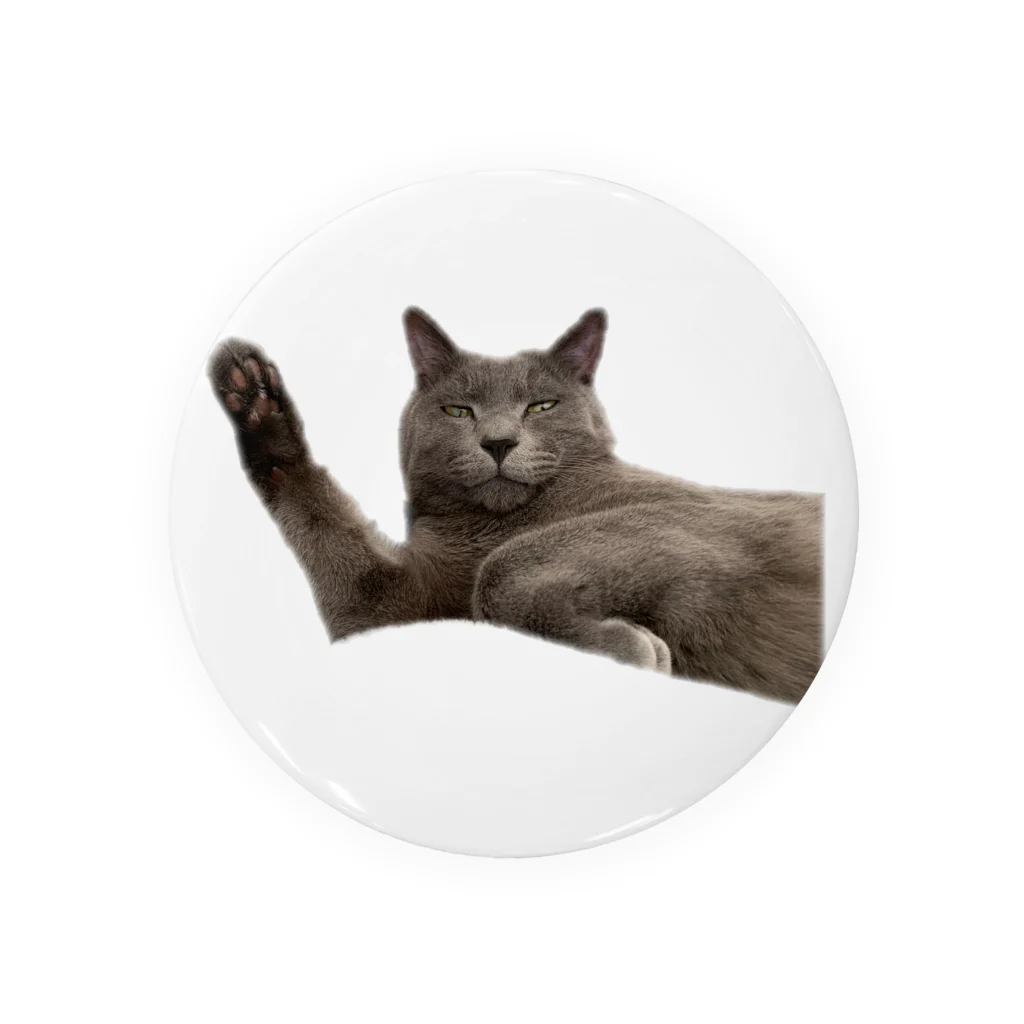 Ren_chanの寝起きの猫3 Tin Badge