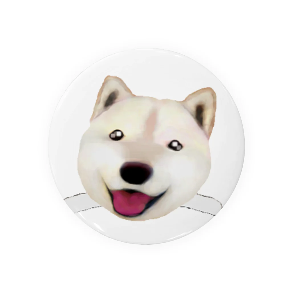 momokokoの白柴犬のちび Tin Badge