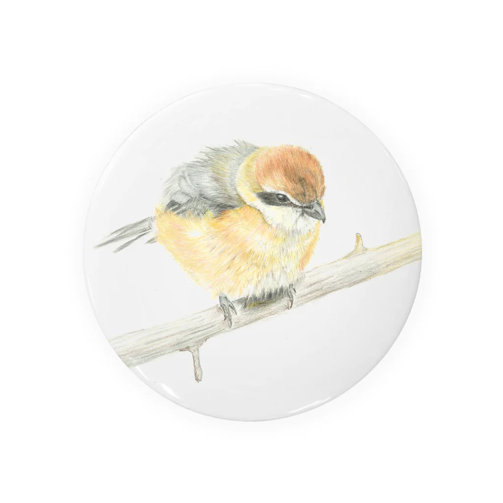 Birdbirdの小鳥　モズ Tin Badge