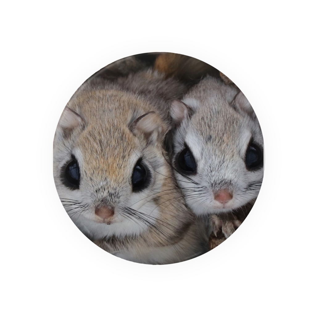 笑顔の時間 ほっこり笑顔のエゾモモンガ2109 Aな毎日を 動物が好きな全ての人の生きる力に にこらび Nicolab の缶バッジ通販 Suzuri スズリ 笑顔の時間 ほっこり笑顔のエゾモモンガ2109 Aな毎日を 動物が好きな全ての人の生きる力に にこらび Nicolab の缶バッジ通販 Suzuri スズリ