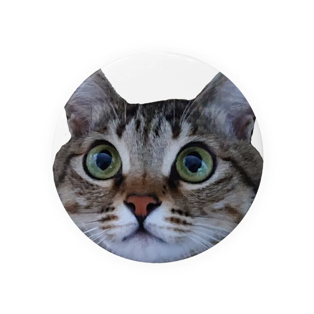 ねこやのキジトラねこ Tin Badge