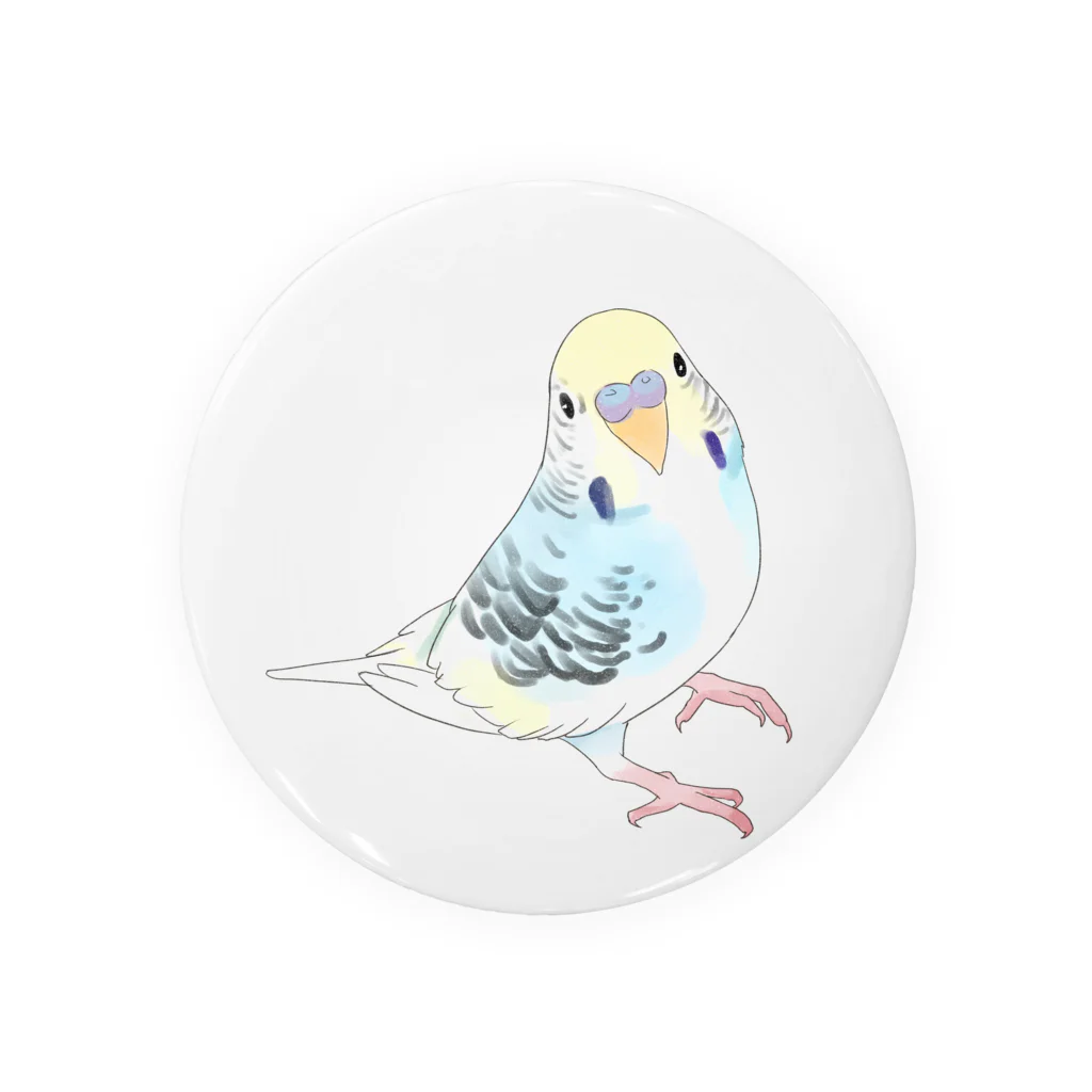 まめるりはことりの見つめる七色セキセイインコちゃん【まめるりはことり】 Tin Badge