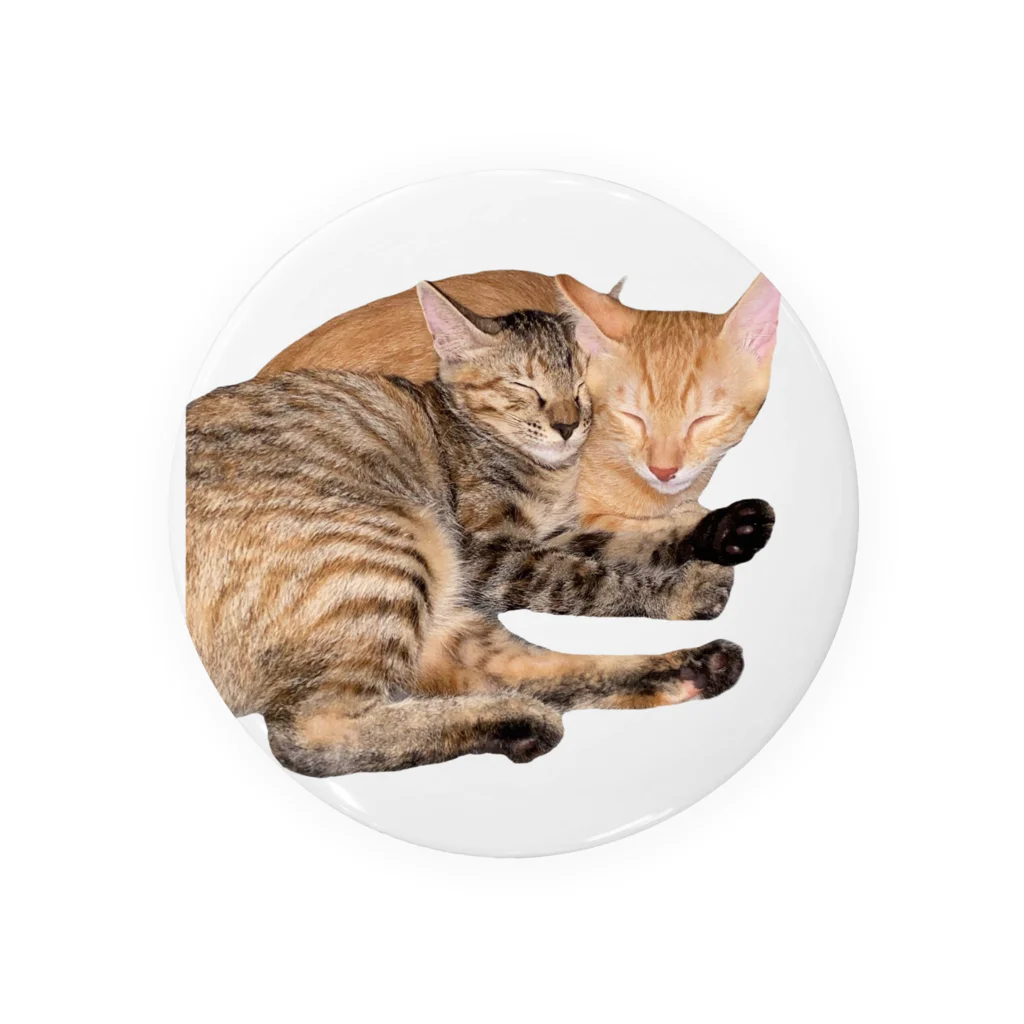 ChoboTora24の眠り猫ちゃん達 Tin Badge