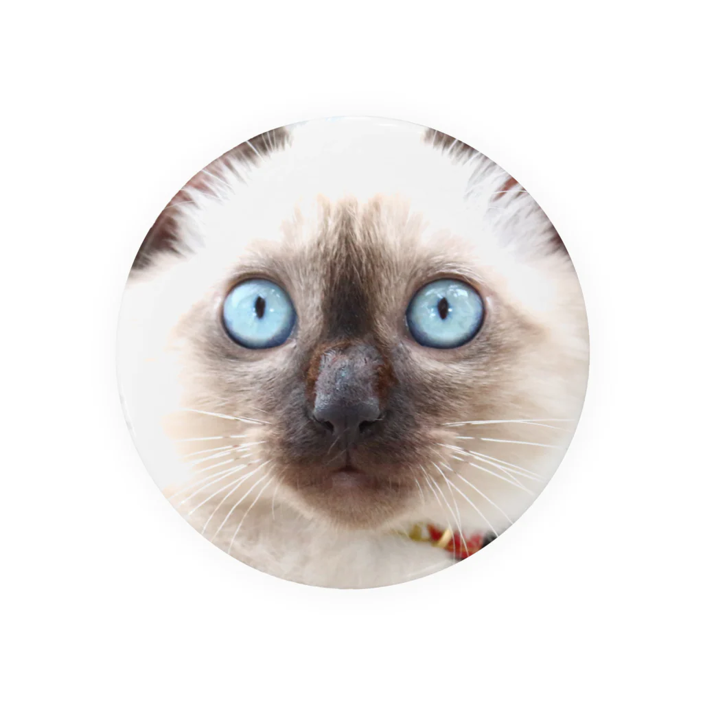 猫ドМさん専用猫グッズのお店　びーにゃんくらぶの保護猫2013　なゆたくん Tin Badge