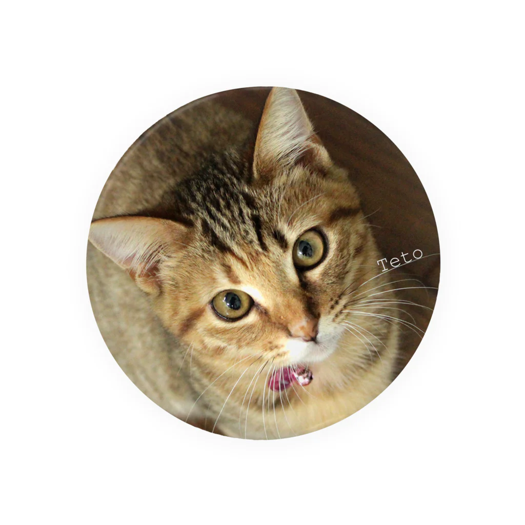 猫ドМさん専用猫グッズのお店　びーにゃんくらぶの2015保護猫　テトちゃん♪ 缶バッジ