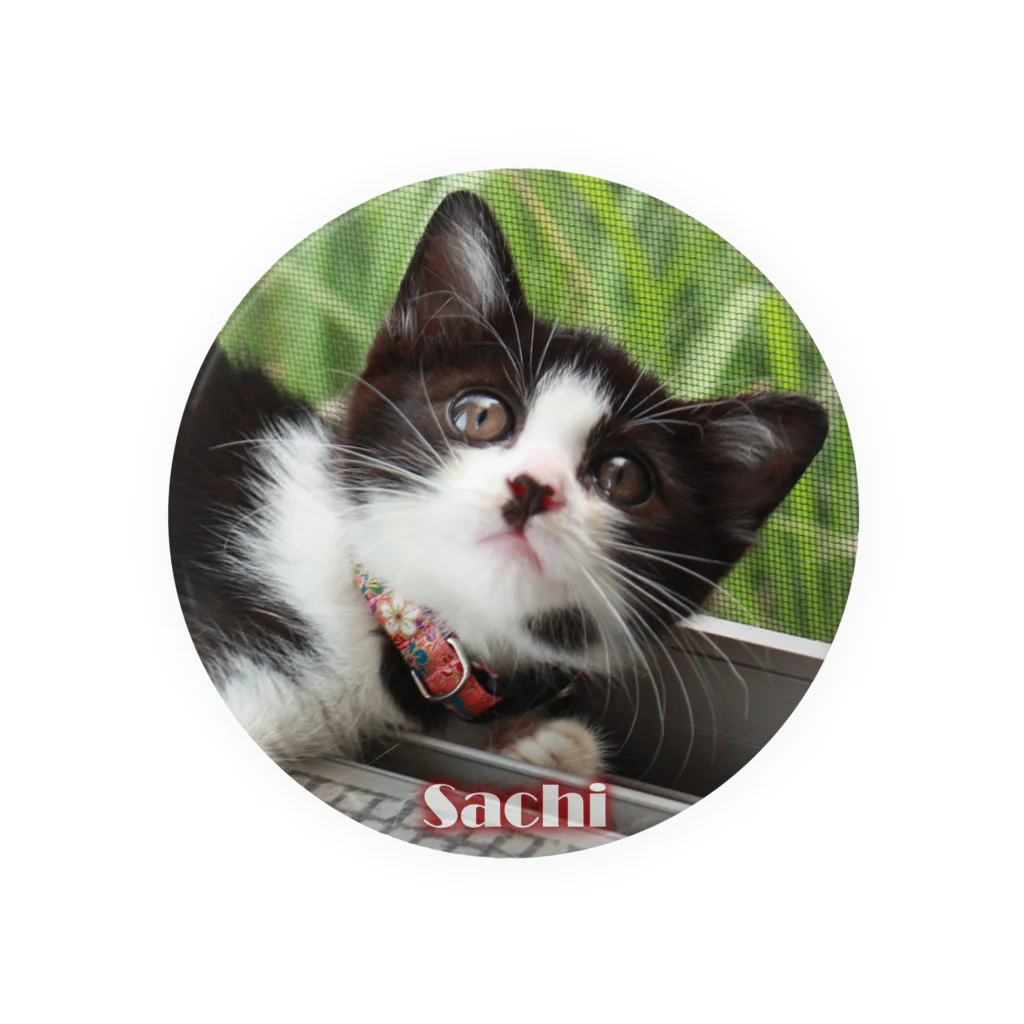 猫ドМさん専用猫グッズのお店　びーにゃんくらぶの2009保護猫　幸ちゃん Tin Badge
