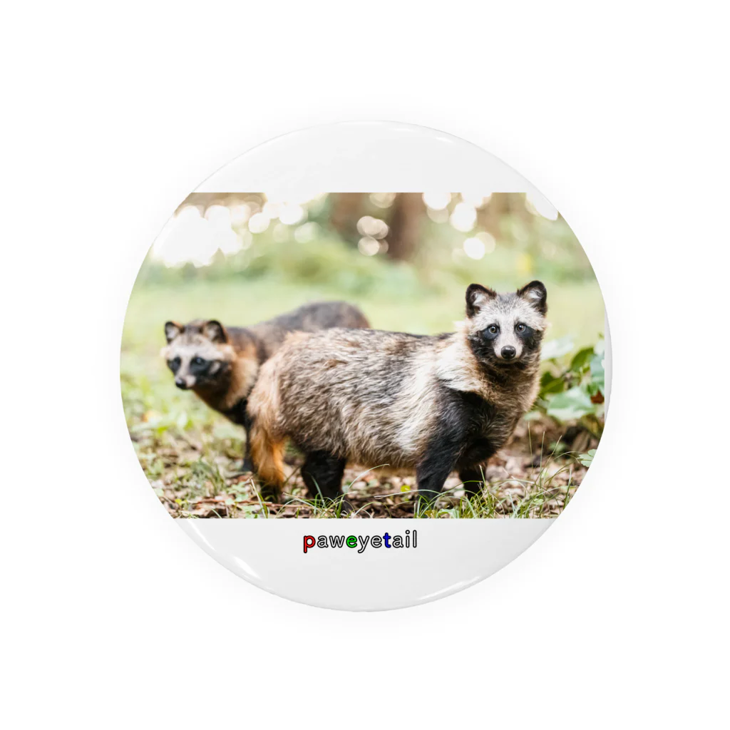 paweyetailのぽんぽこ兄弟 Tin Badge