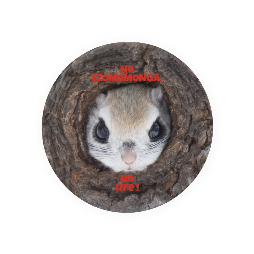 Popshiretoko360🐾のエゾモモンガ缶バッジ「No EZOMOMONGA, no life!」 Tin Badge