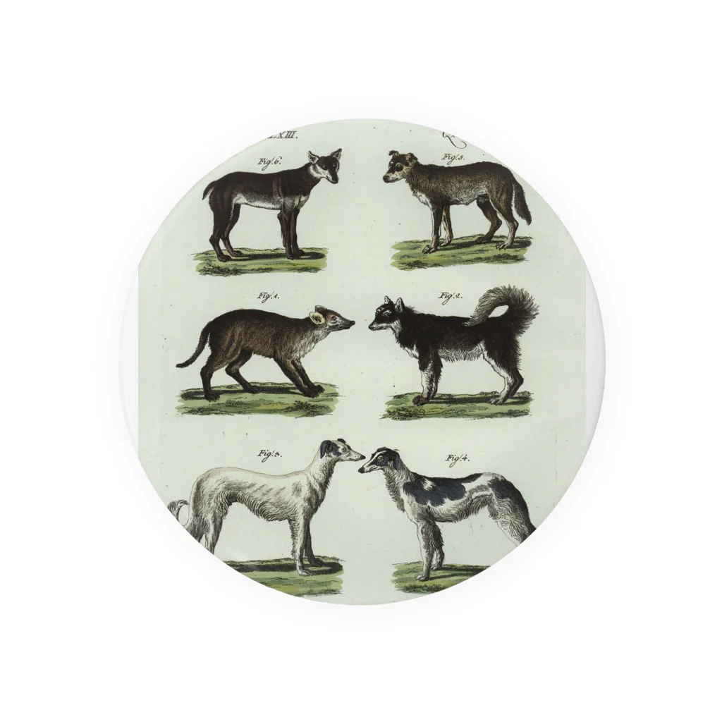 J. Jeffery Print Galleryの1802年ドイツの犬たち Tin Badge