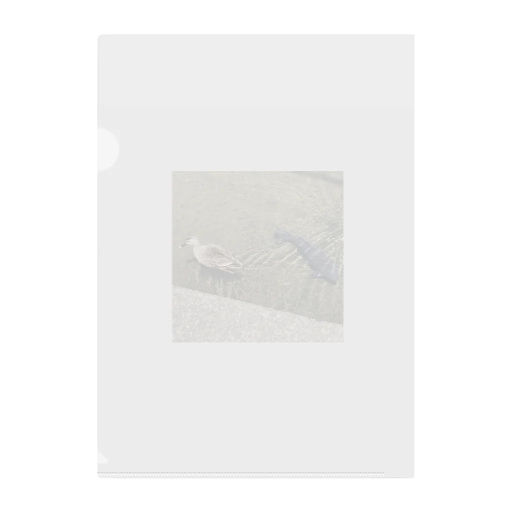 富士山の鯉と鴨と小魚 Clear File Folder