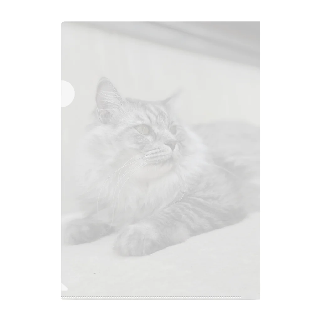 保護猫ファミリーの獅鳳コレクション Clear File Folder