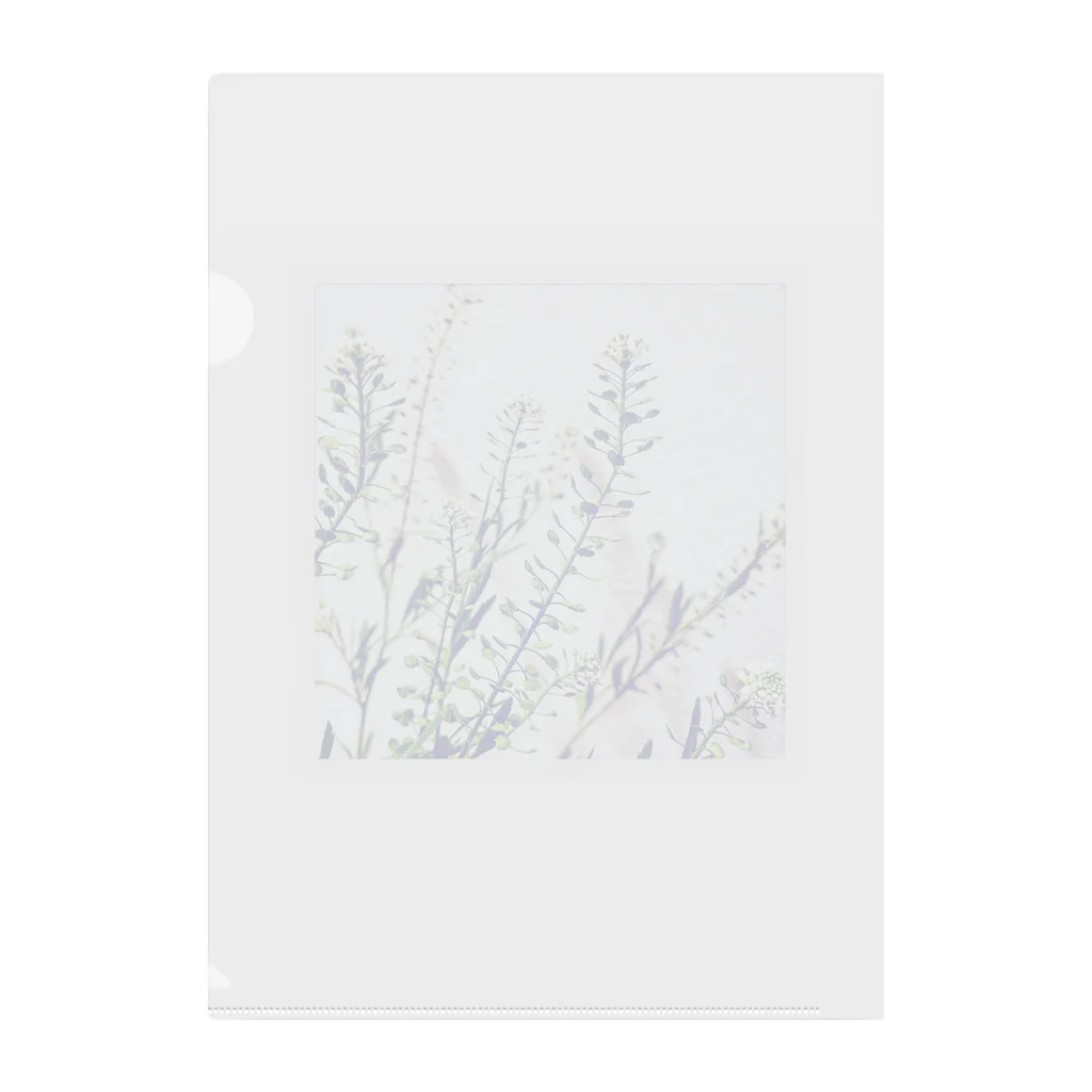blancillaの揺れる花 Clear File Folder