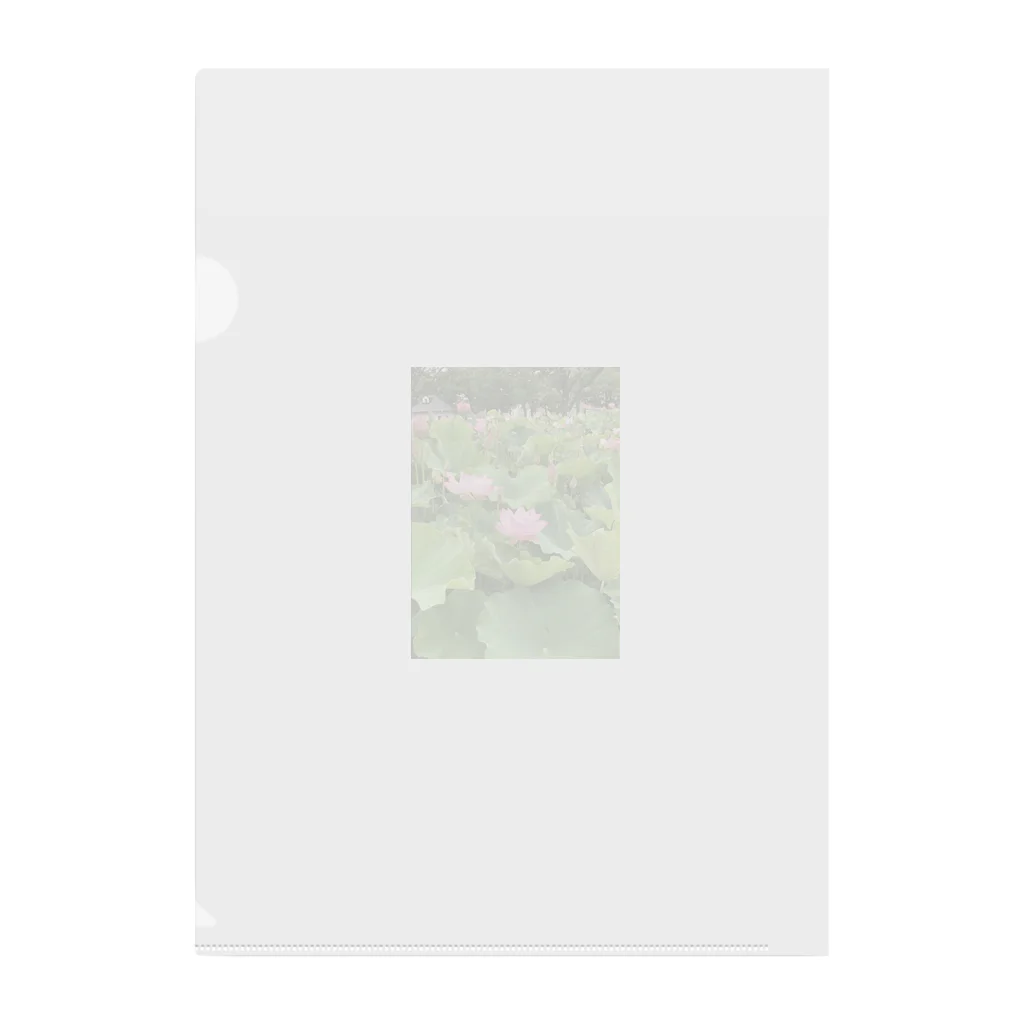 ぴー様と髭男の蓮の花です Clear File Folder