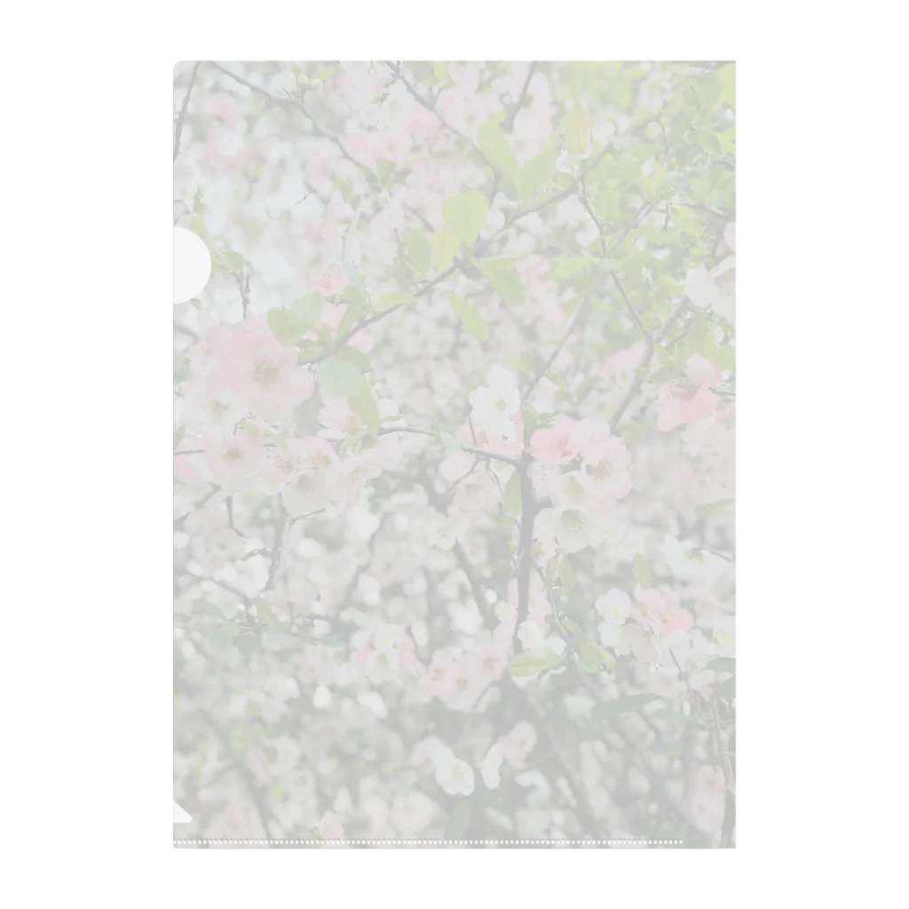 Nattiの春のお花🌸 クリアファイル